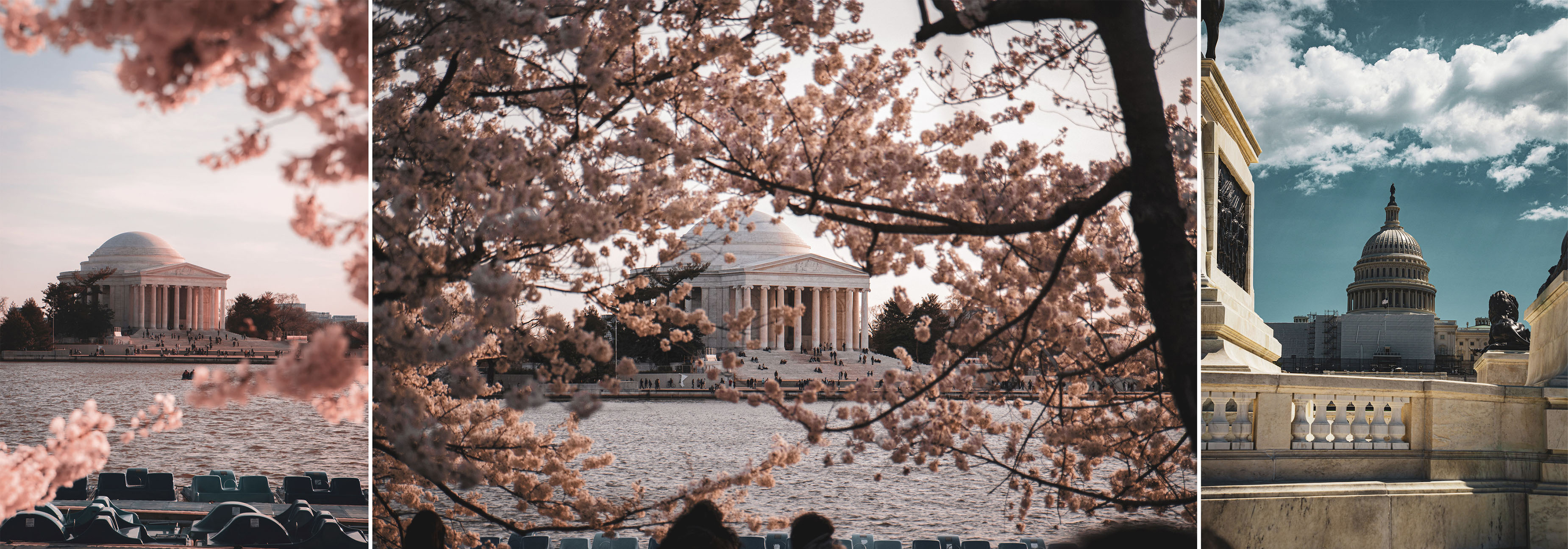 Heath Alexander DC Cherryblossoms AlterEgo